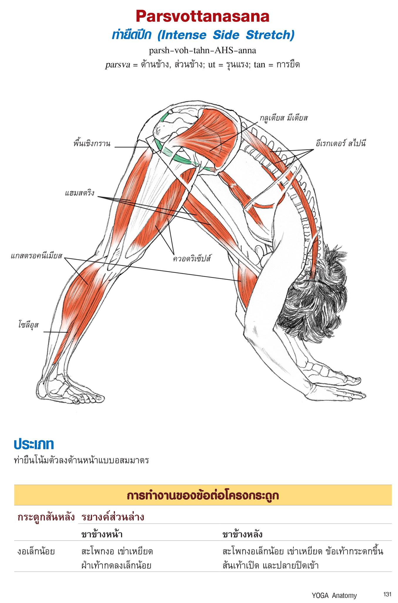 หนังสือเรื่อง กายวิภาคโยคะ YOGA Anatomy (ปกอ่อน) : เลสลี่ คามินอฟฟ์, เอมี่ แมทธิวส์ : สำนักพิมพ์ แอร์โรว์