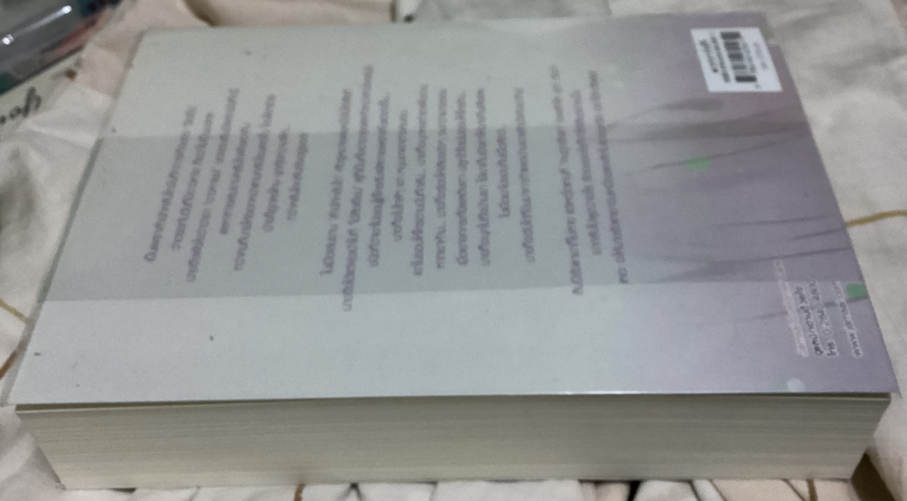 (สั่ง9จ่าย7) อาจารย์ข้าน่ารังแกที่สุด! ชิวรั่วเยีย ราคา 266