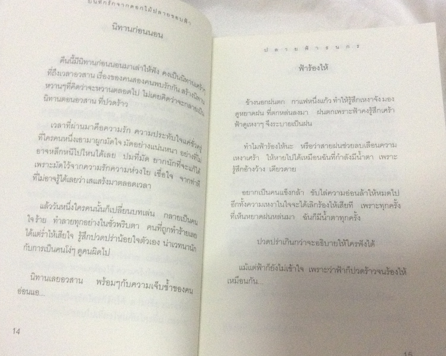 บันทึกรักจากดอกไม้ปลายขอบฟ้า โดย ปลายฟ้า ธนกร ราคา 50