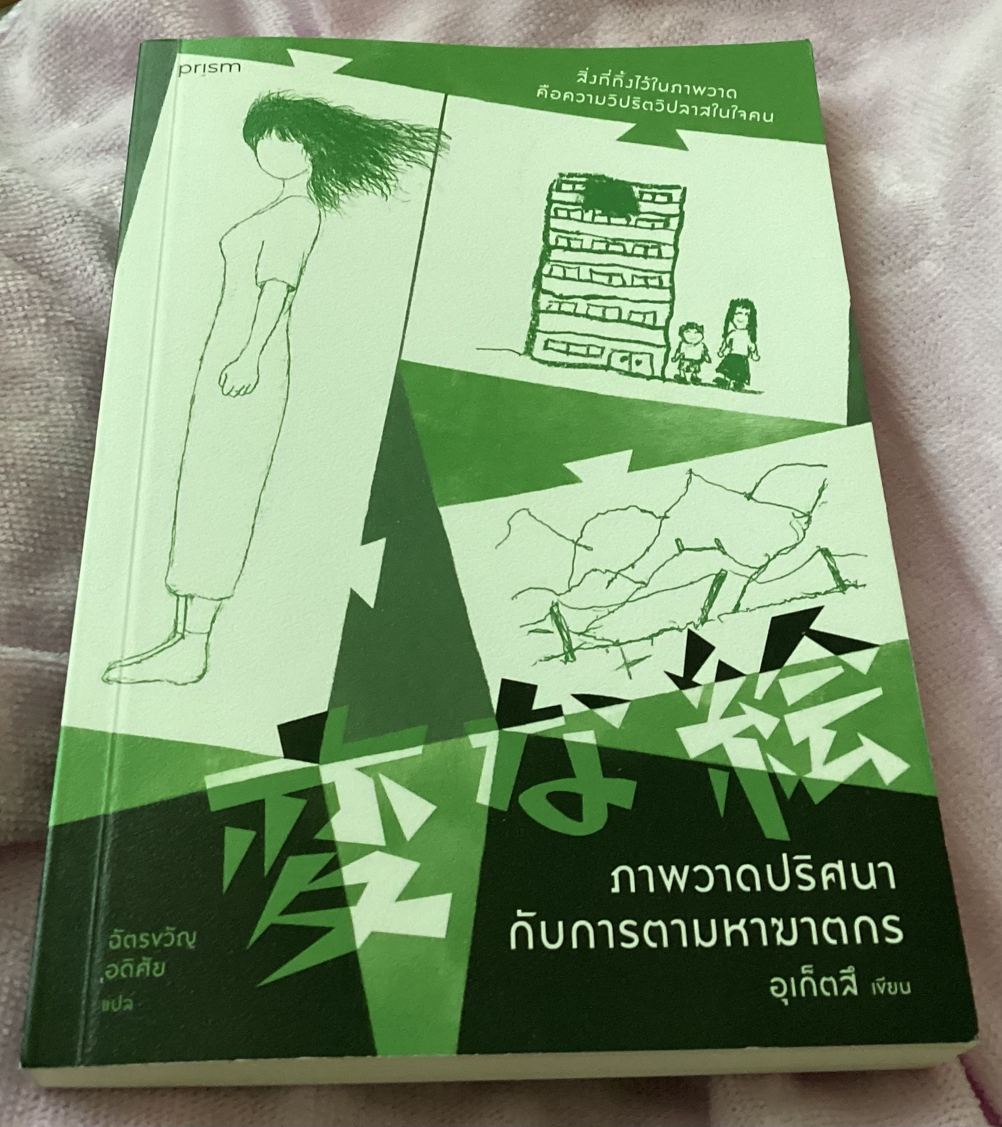 ภาพวาดปริศนากับการตามหาฆาตกร อุเก็ตสึ ราคา 235