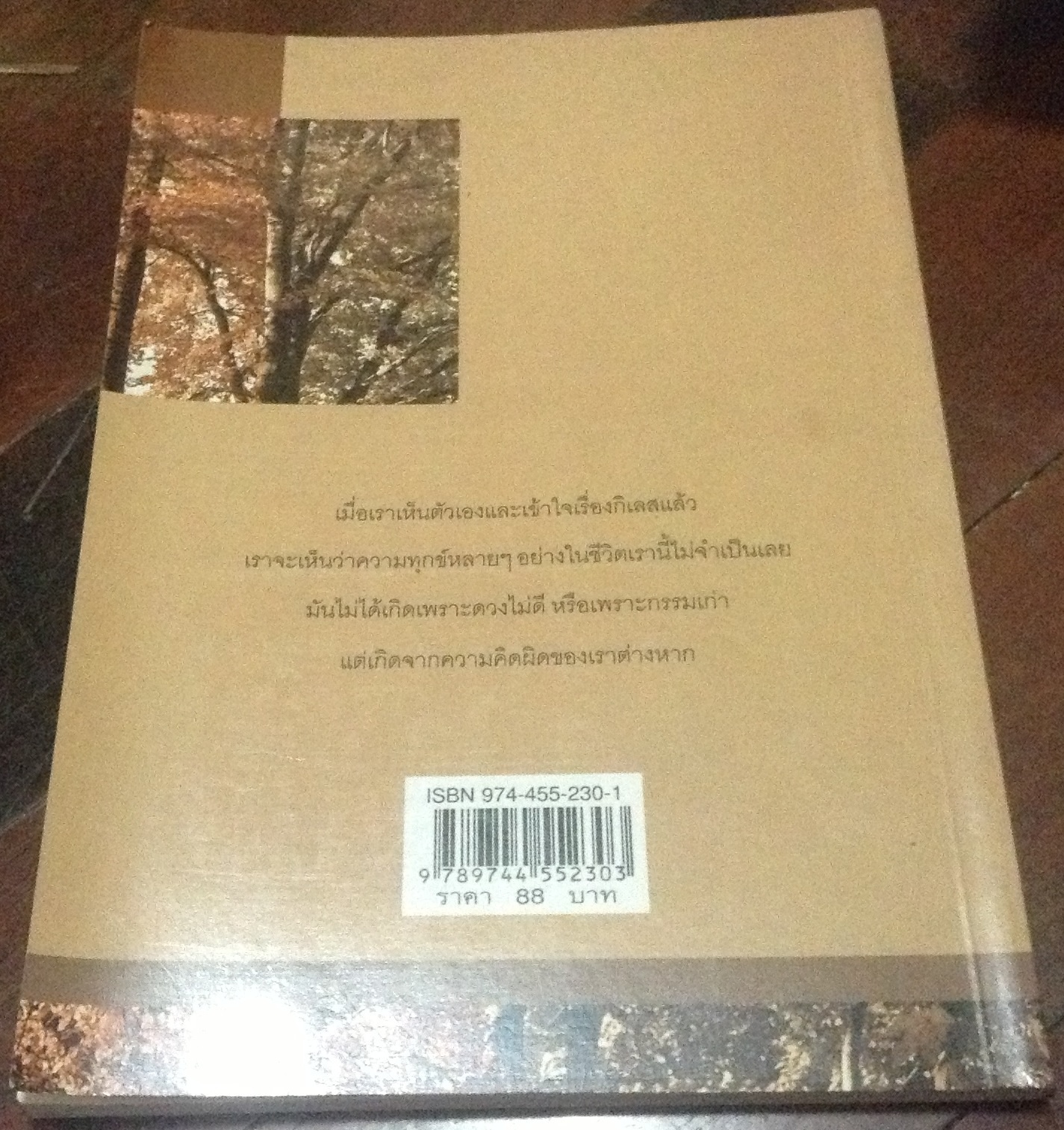 เก็บธรรมะจากต้นไม้ในวัด ปราณ นพวงศ์กุล ราคา 62