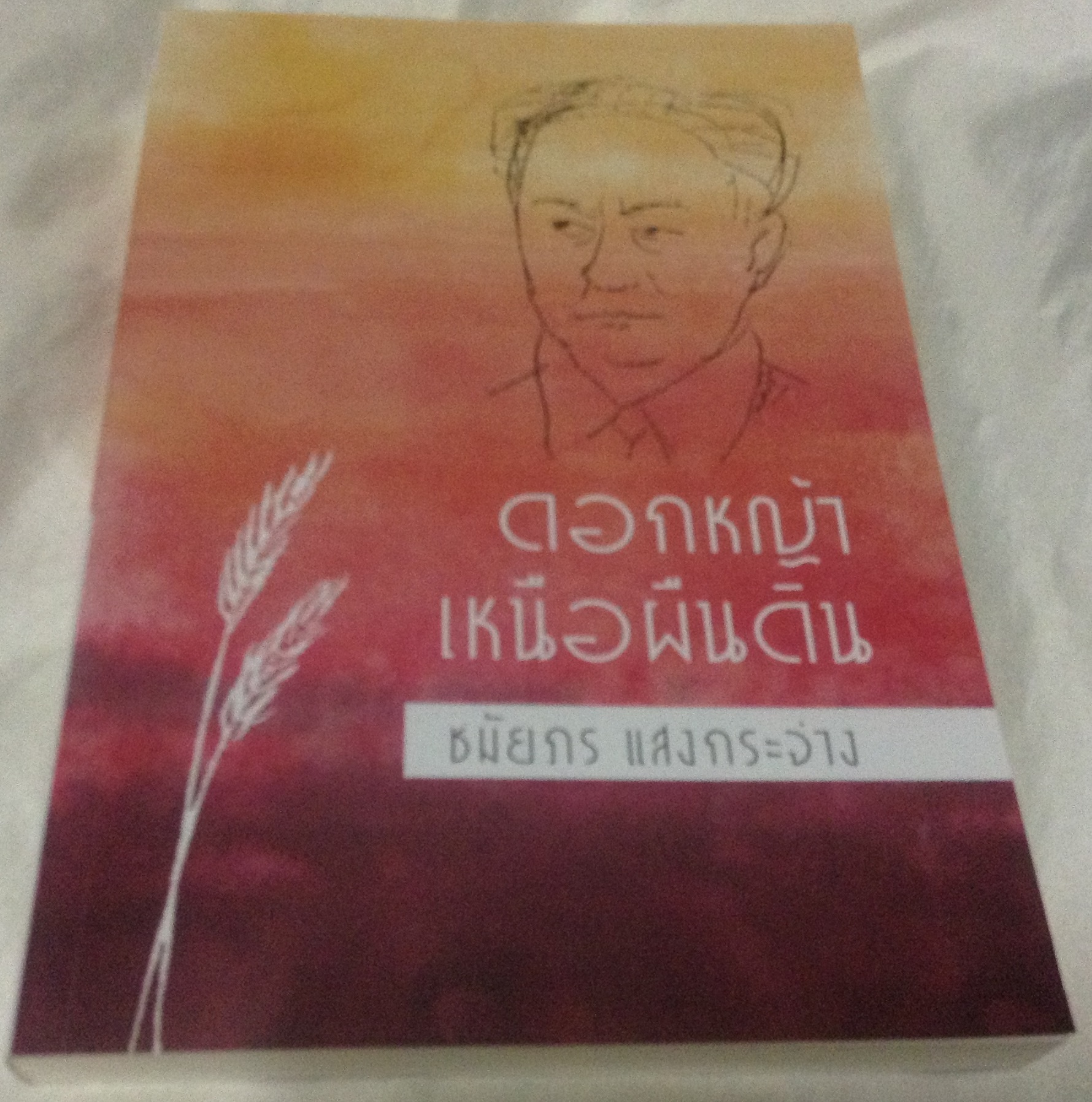 ดอกหญ้าเหนือผืนดิน ชมัยภร แสงกระจ่าง มือหนึ่ง ราคา 100