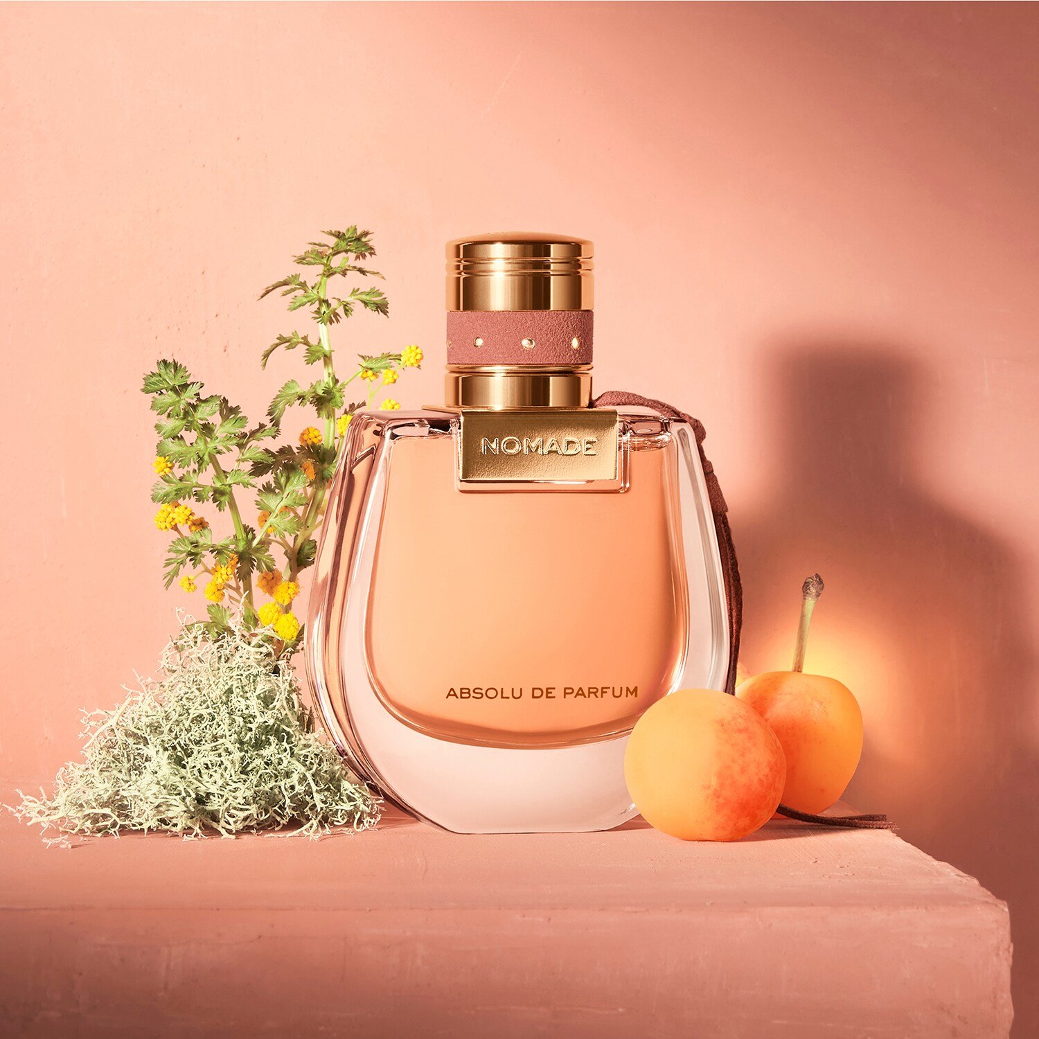 น้ำหอมโคลเอ้ CHLOE NOMADE ABSOLU DE PAFUM 75ml