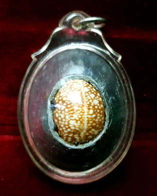 เบี้ยแก้เปลือย หลวงปู่เจือ วัดกลางบางแก้ว นครชัยศรี นครปฐม จารมือ