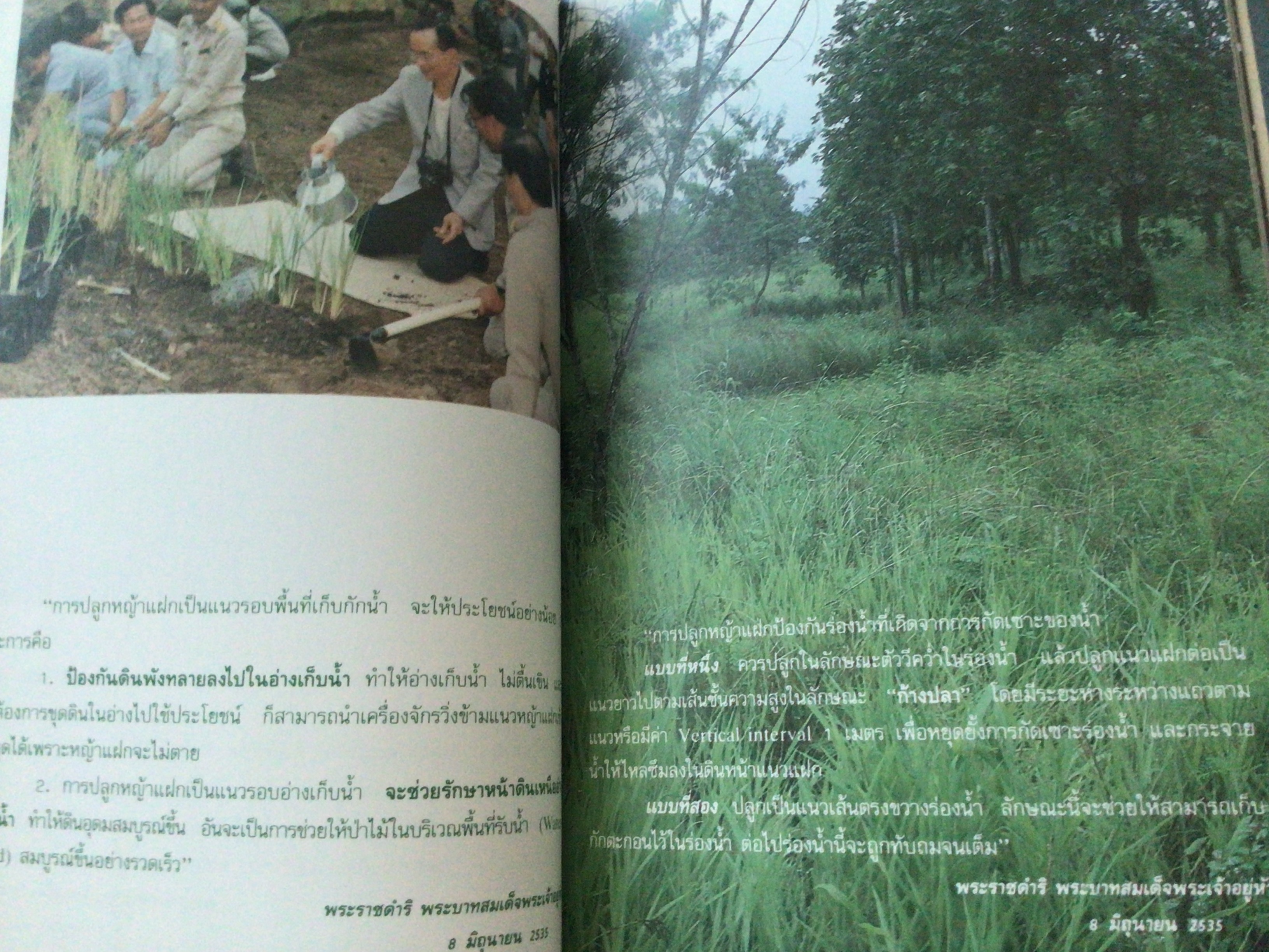 หญ้าแฝกหอม จากพระราชดำริสู่เส้นทางการอนุรักษ์ดินและน้ำ ปกแข็ง ราคา 50