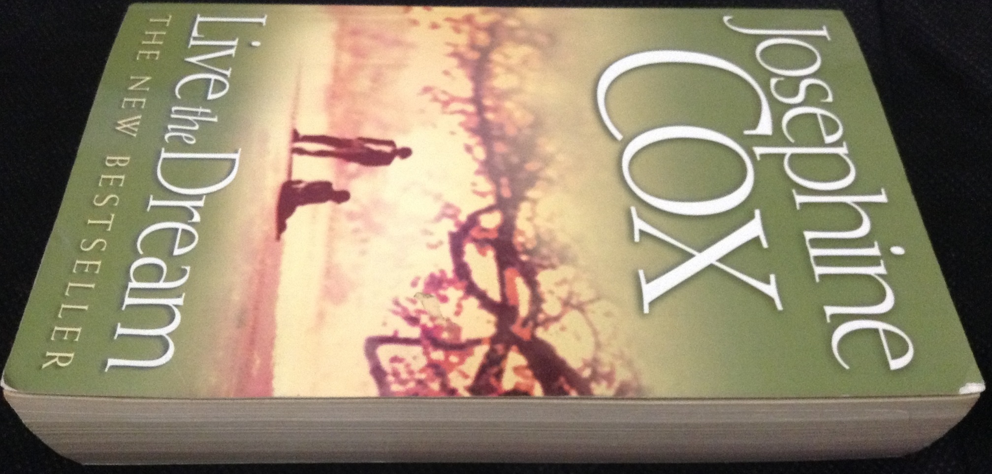 Live The Dream by Josephine Cox ราคา 150