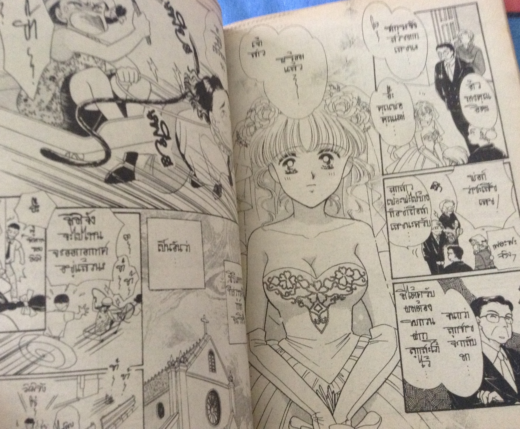 เจ้าสาวเปรี้ยวหวาน rina morio ราคา 15