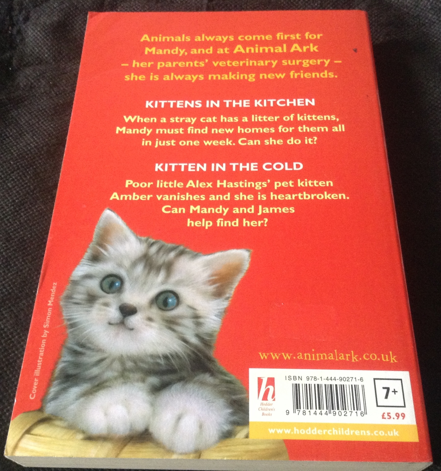 Kittens in Trouble (Kittens in the Kitchen & Kitten in the Cold) by Lucy Daniels ราคา 140