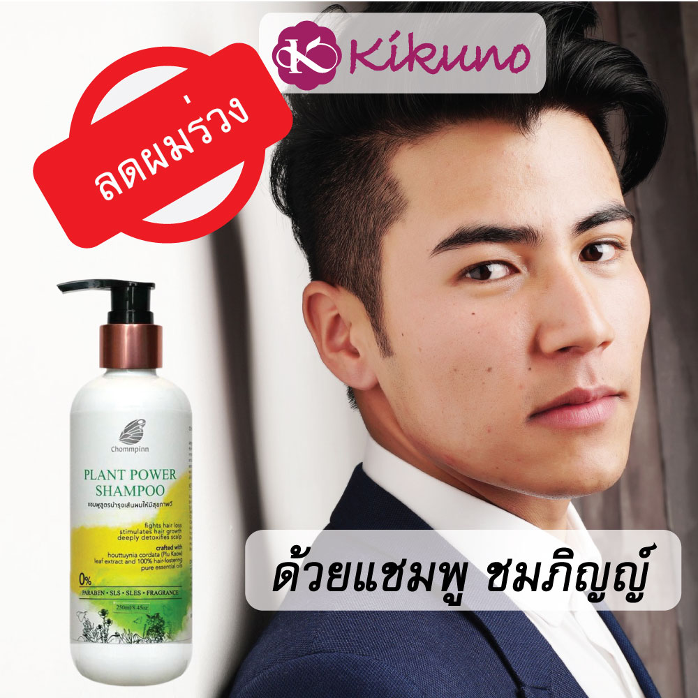แชมพูแก้ผมร่วง เพิ่มผมหนา ผู้ชาย ผมดก สร้างผมใหม่ ชมภิญญ์ ยาสระผม สมุนไพร ผมบาง ทำไงให้หนา Plant Power 250 ml.