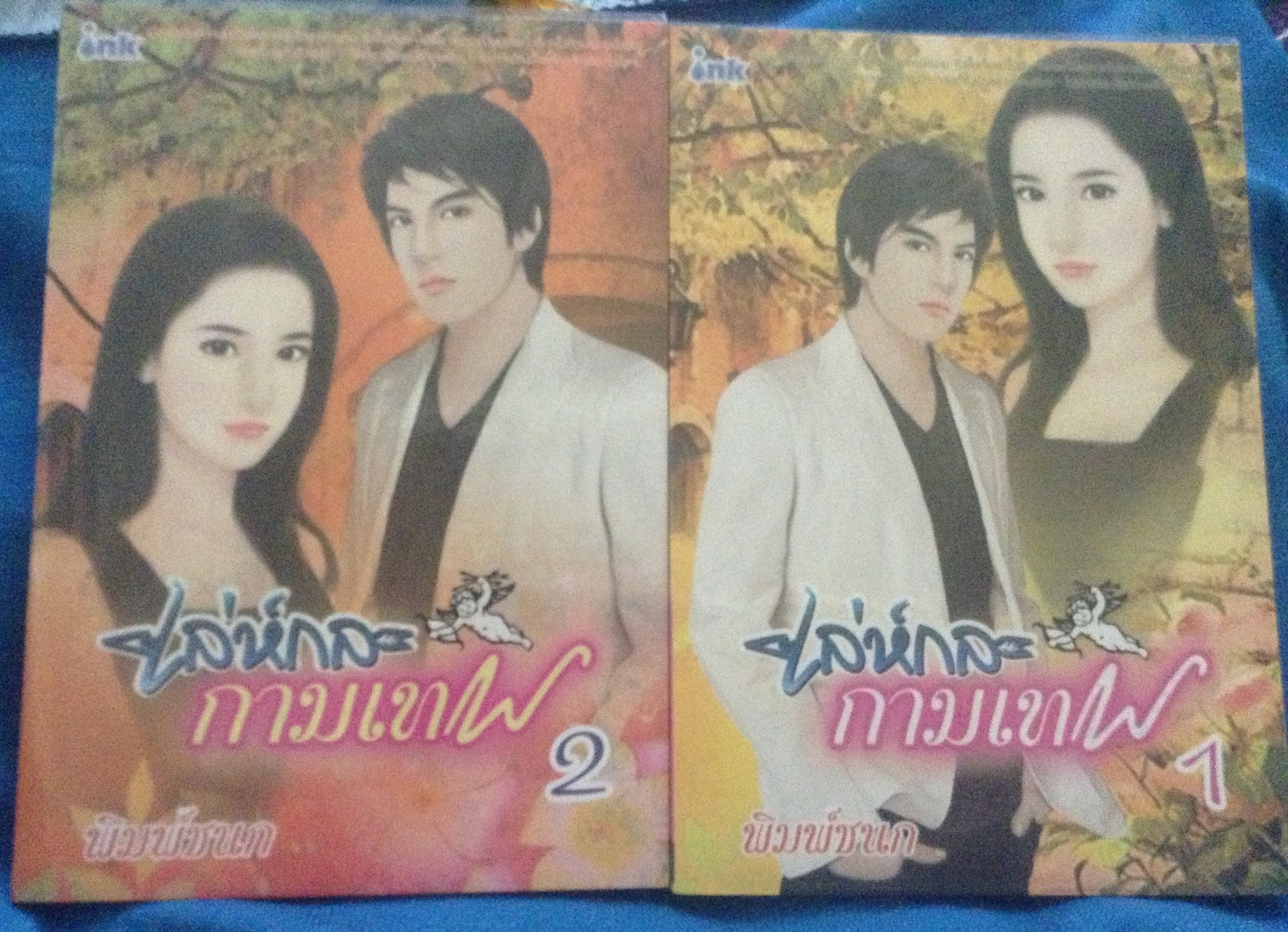 เล่ห์กลกามเทพ 2 เล่มจบ พิมพ์ชนก ราคา 298