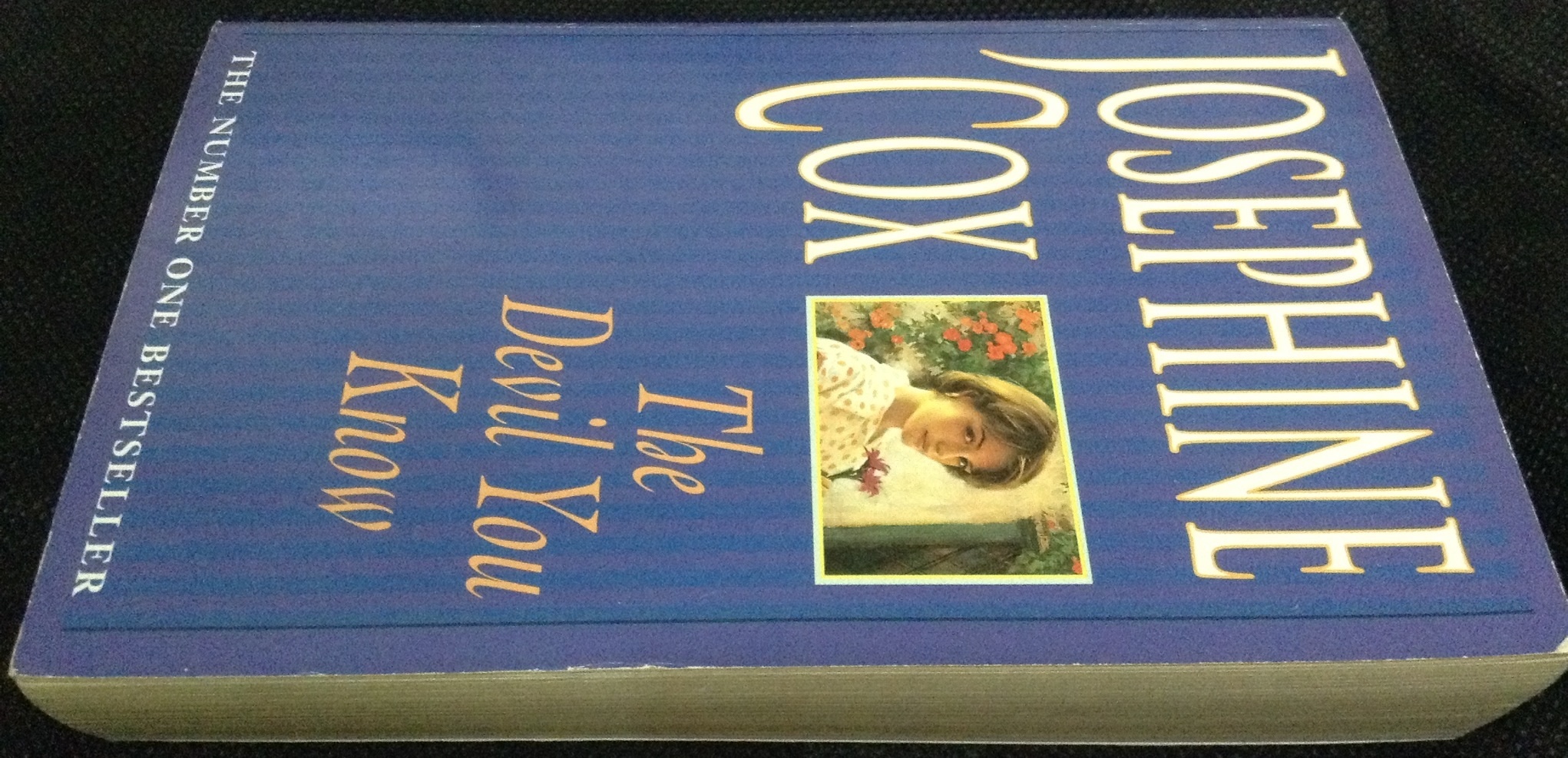 The Devil You Know by Josephine Cox ราคา 150