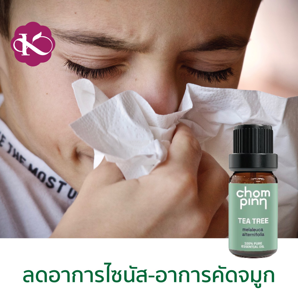 ที ทรี ออยล์ ยี่ห้อไหนดี ซื้อที่ไหน น้ำมัน ลด รอย สิว เป็นหวัดเจ็บคอ ราคา 290 ชมภิญญ์ (Chommpinn Tea Tree Oil ) 10 ml.