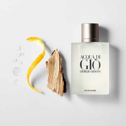 น้ำหอมอามานี่ ARMANI Acqua Di Gio Pour Homme EDT 100ml