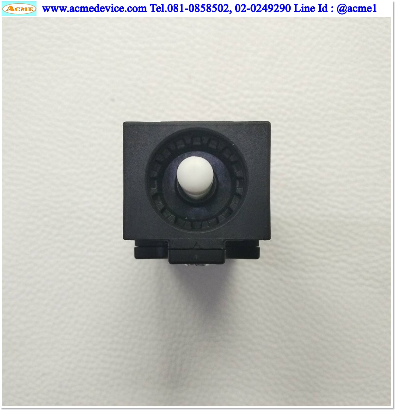 Limit Switch Rittal รุ่น SZ4127.010, 230Vac/24Vdc, 6A, Door Operated Switch