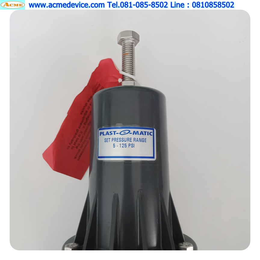 Regulator PLAST-O- MATIC รุ่น PRHM100EP.PV, Set Pressure Range, 5-125 PSI, 2-Way