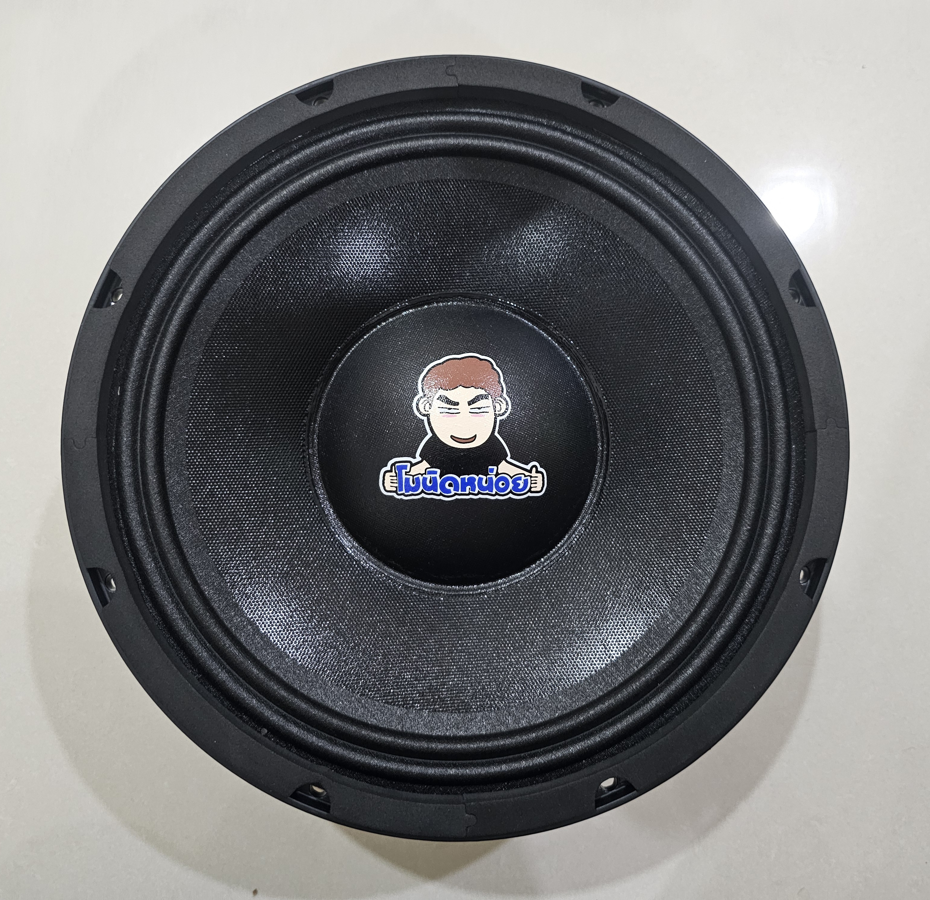 เสียงกลาง+มิดโล 10''156x20v60.5 โครงหล่อ (1ดอก)
