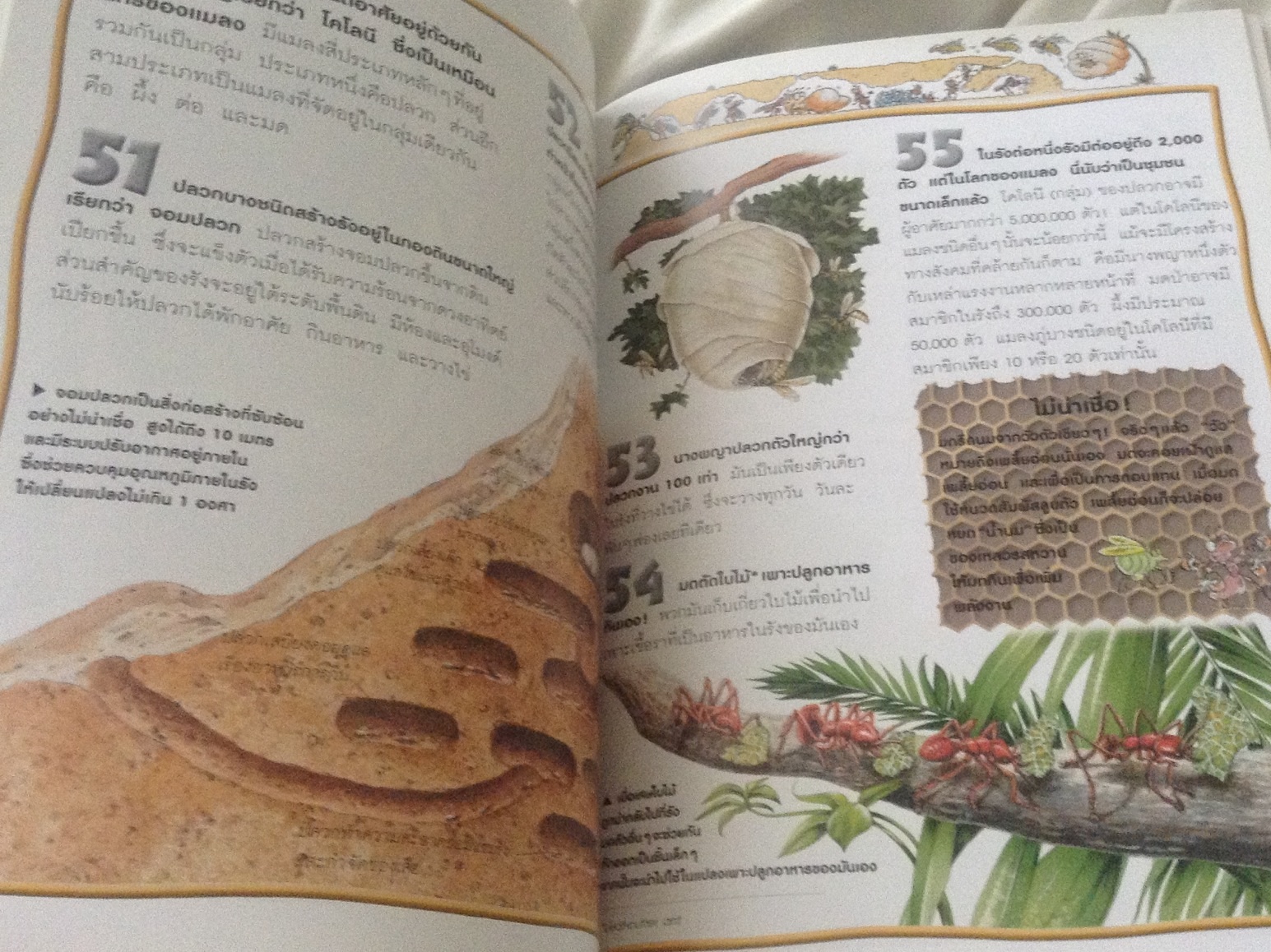 100เรื่องน่ารู้เกี่ยวกับแมงและแมลง ราคา 70