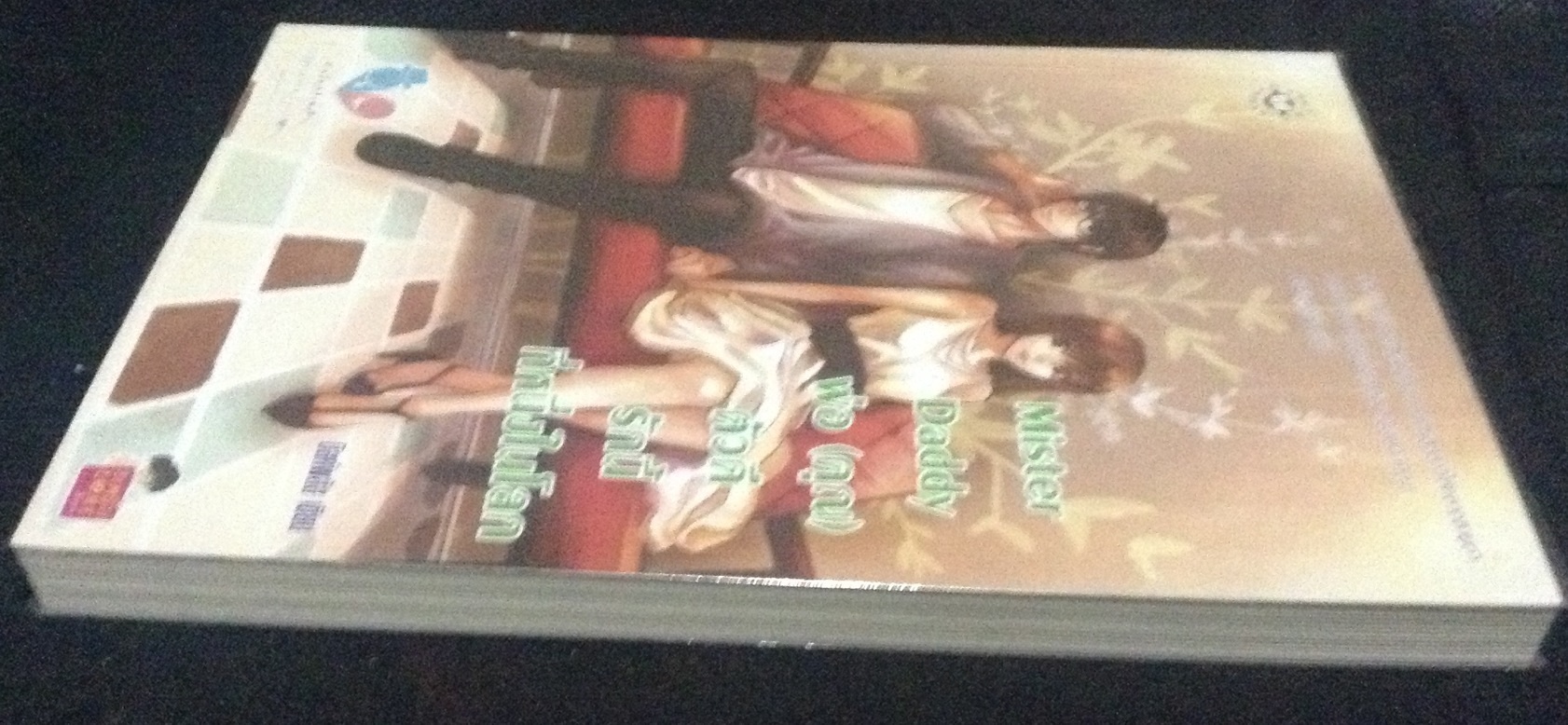 Mister Daddy พ่อ (คุณ) ตัวดี รักนี้ที่หนึ่งในโลก มิลค์พลัส ราคา 90