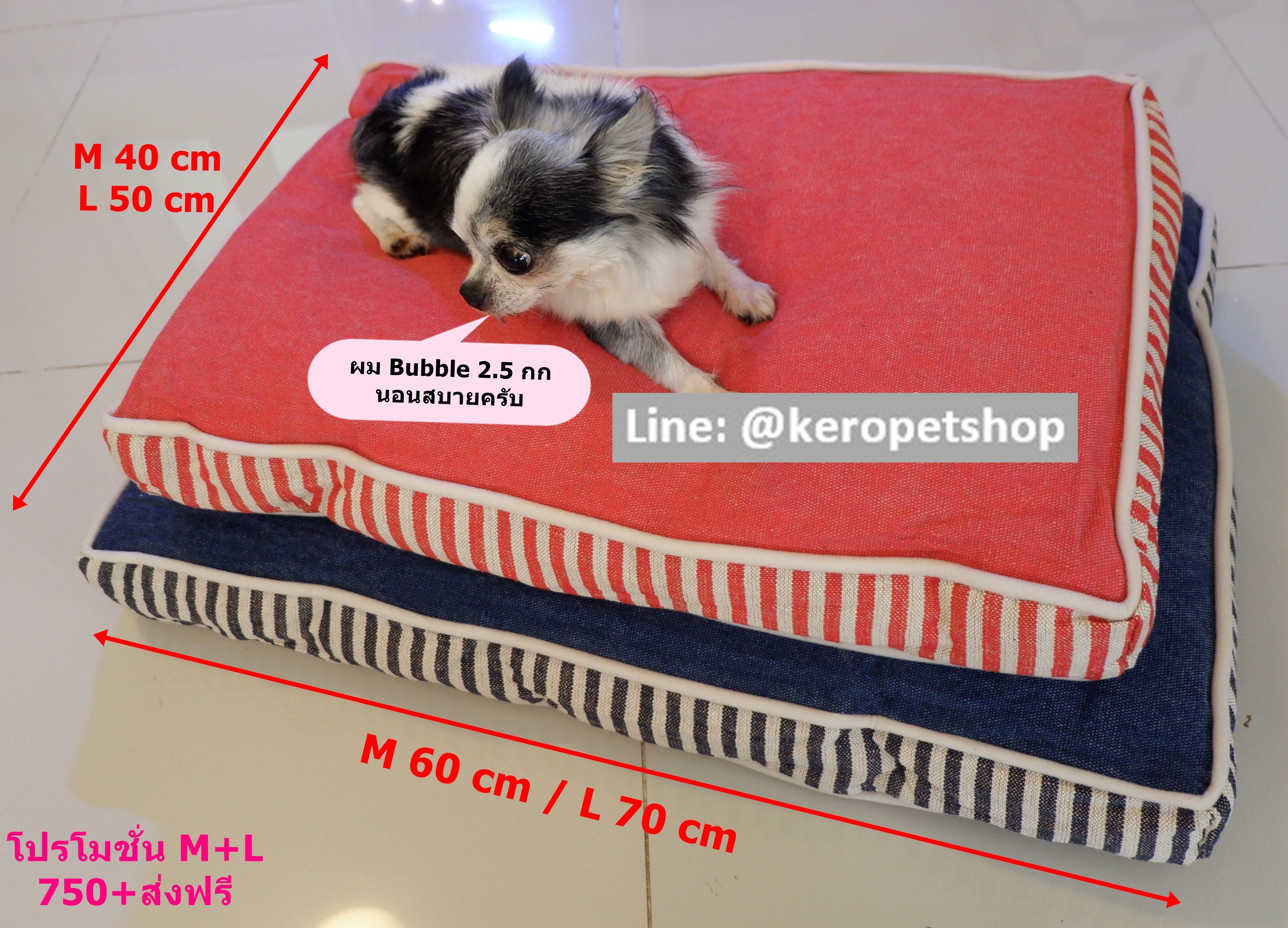 ที่นอน 1 คู่ L 70*50 cm + M 60*40 cm