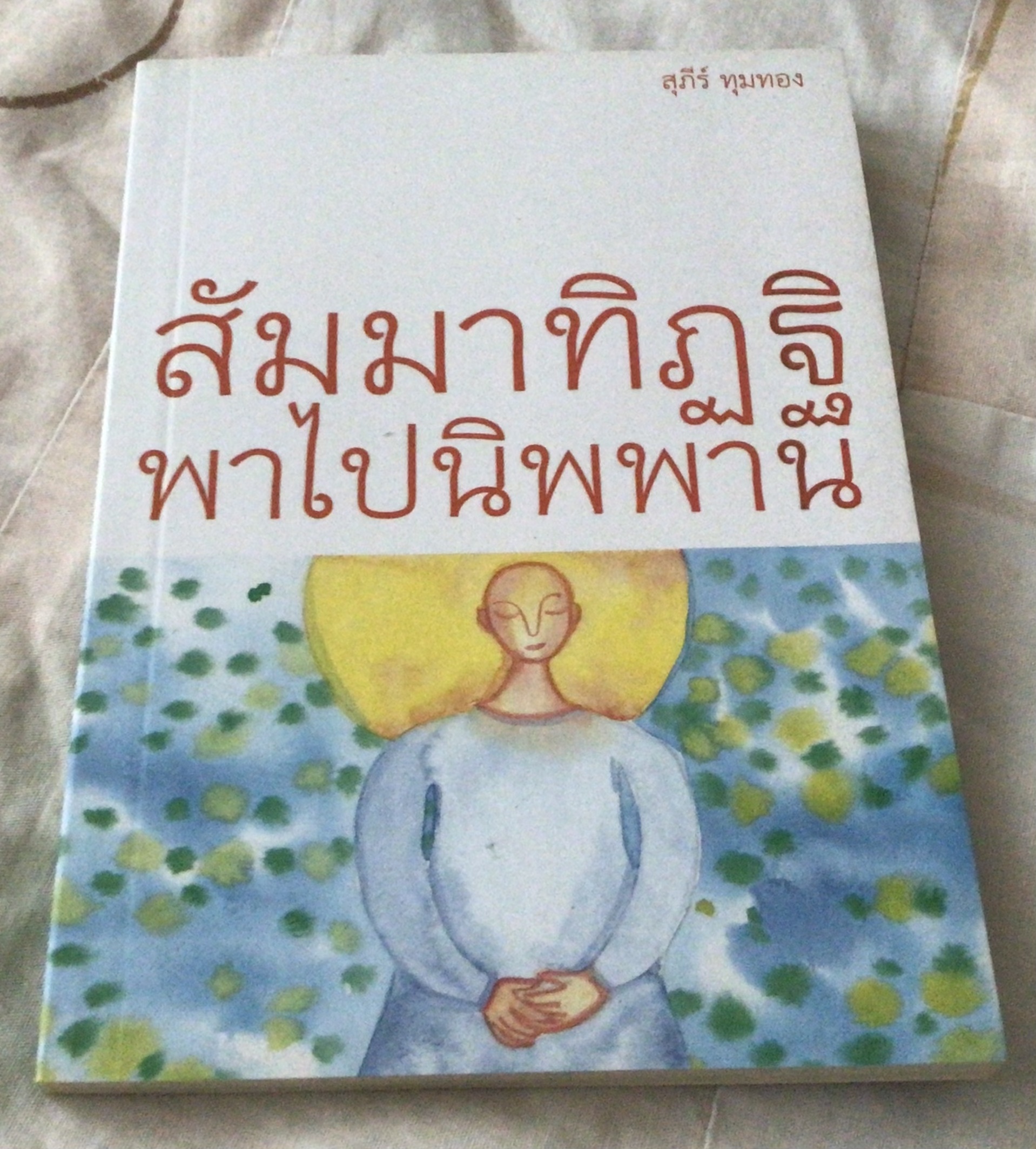 สัมมาทิฏฐิ พาไปนิพพาน อ.สุภีร์ ทุมทอง มือหนึ่ง ราคา 50