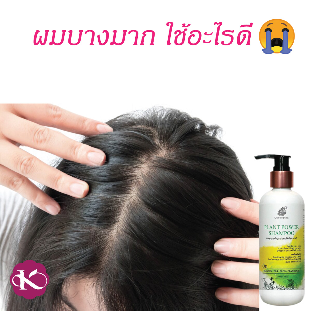 แชมพูทำให้ผมหนา ผมดก สร้างผมใหม่ ชมภิญญ์ สมุนไพร ยาสระผม วิธีทำให้ผมดกหนา ลดผมร่วง ผมบางมาก ใช้อะไรดี PLANT POWER SHAMPOO 250 ml.