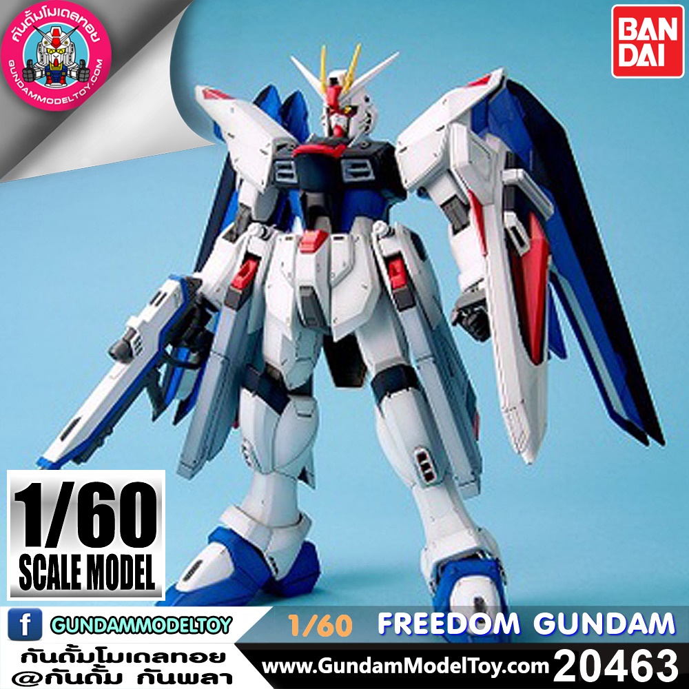 BANDAI GUNPLA 1/60 FREEDOM GUNDAM