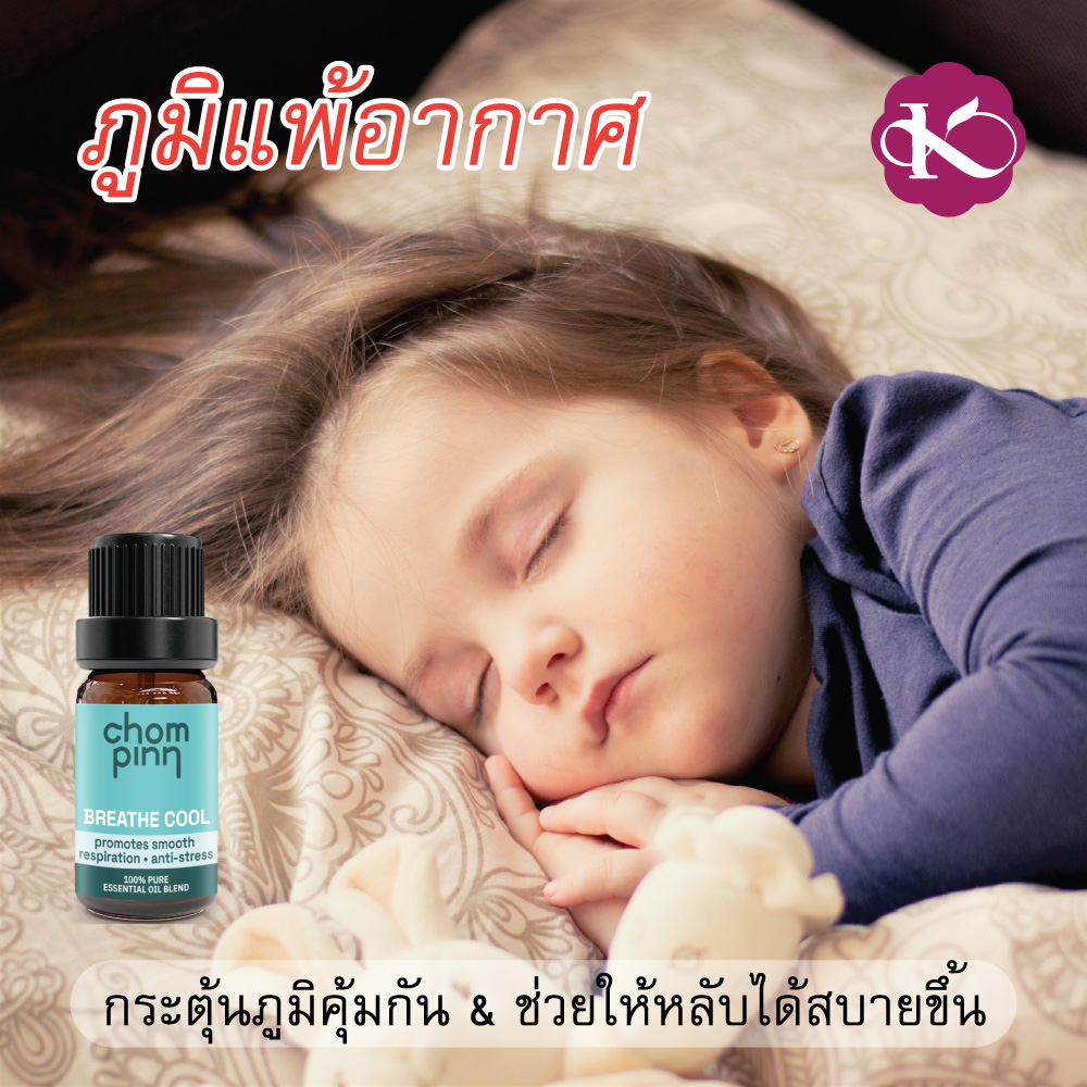 ภูมิแพ้อากาศทำไงดี PM 2.5 น้ำมันหอมระเหยแท้ เกรดบําบัด อโรมาเทอราปี บรรเทา โรคแพ้อากาศ ป้องกัน หวัด ลูกคัดจมูกตอนกลางคืน น้ํามูกไหล จาก พืช ธรรมชาติ 100 % Breathe Cool ชมภิญญ์ 10 ml. ราคา 350