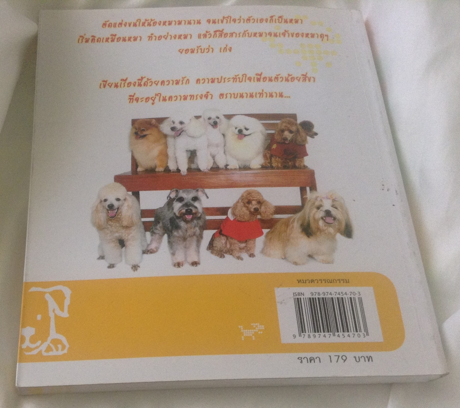 น้องหมาซาลอน ราคา 90