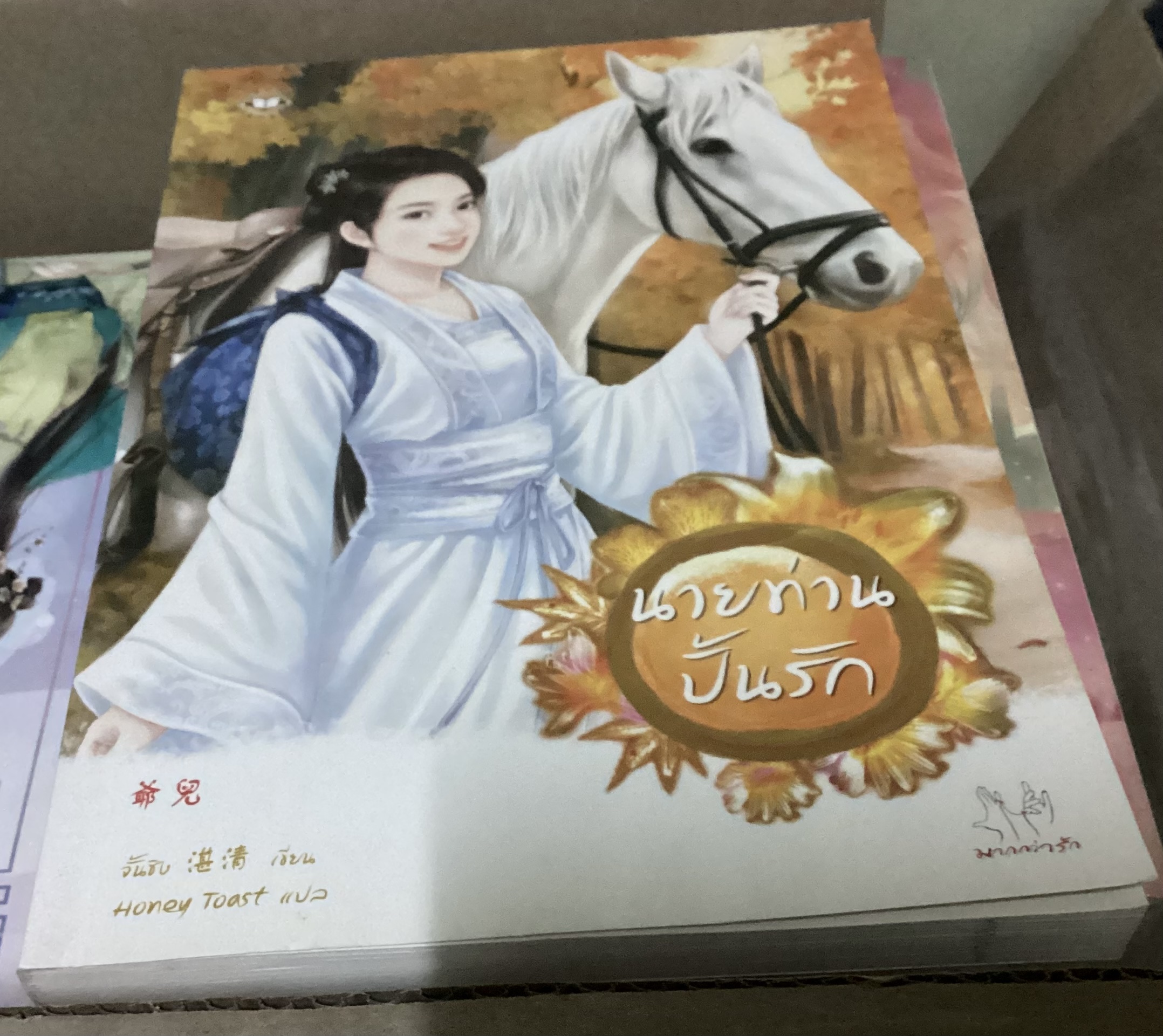 นายท่านปั้นรัก จั้นชิง ราคา 105