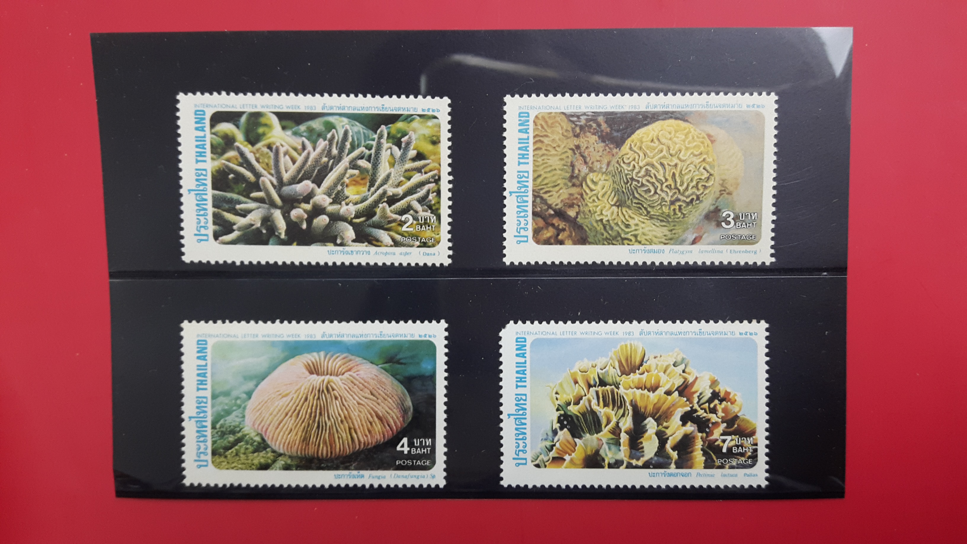 แสตมป์ สัปดาห์สากลแห่งการเขียนจดหมาย ปี2526 ตรงตามรูป หลุดจอง ลดเหลือ60บาทค่ะ
