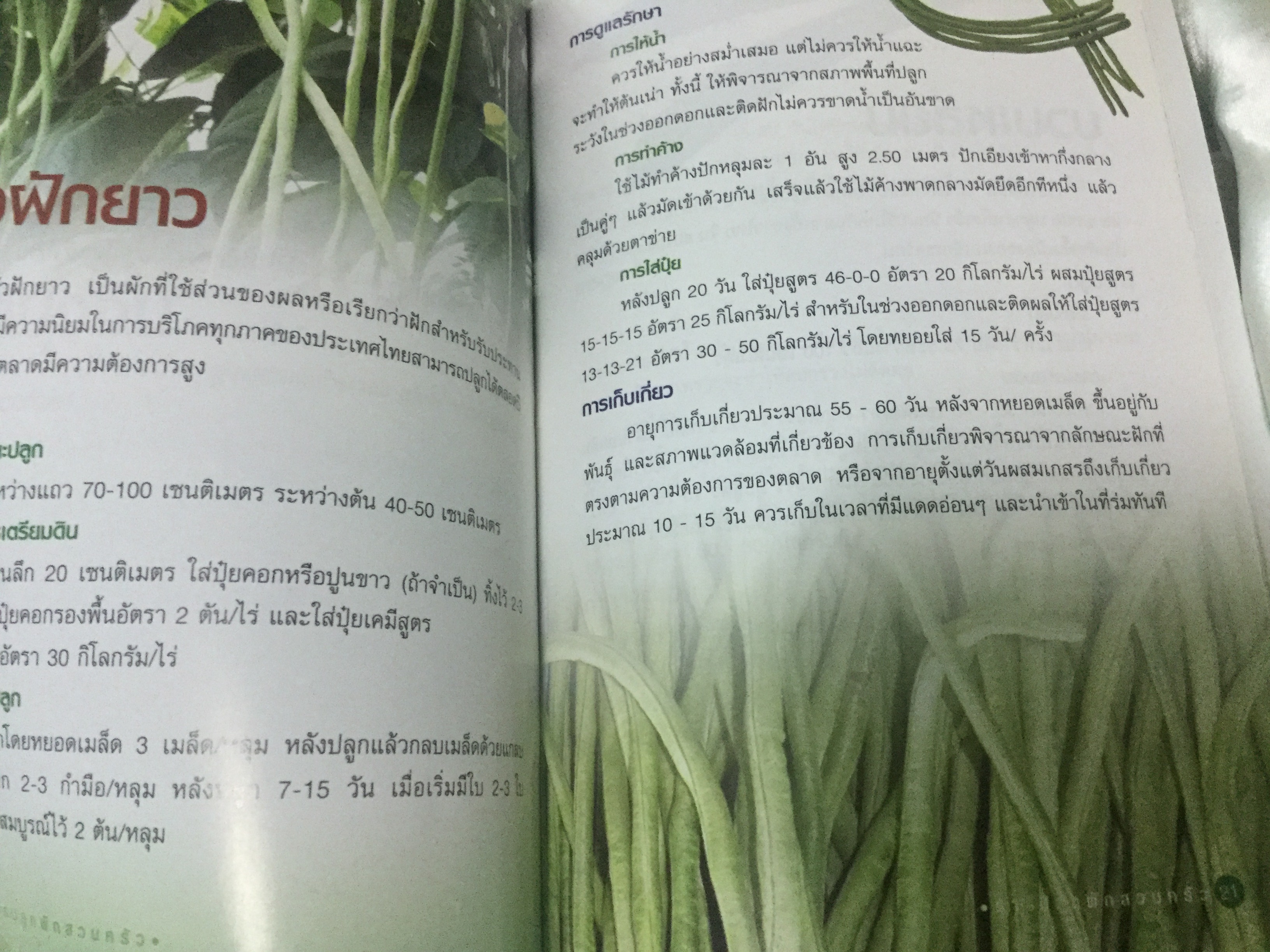 การปลูกผักสวนครัว กรมส่งเสริมการเกษตร ราคา 30