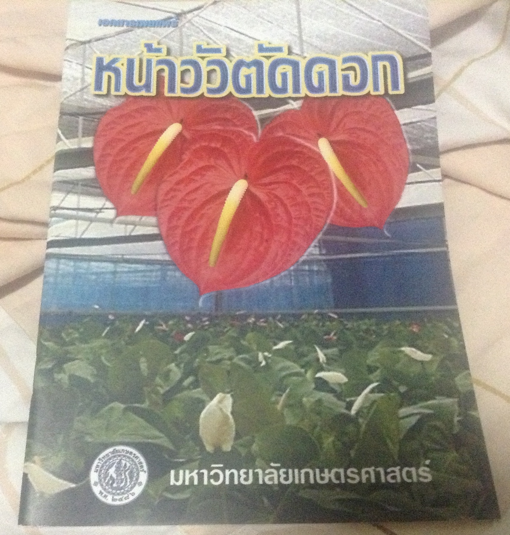 หน้าวัวตัดดอก ราคา 15