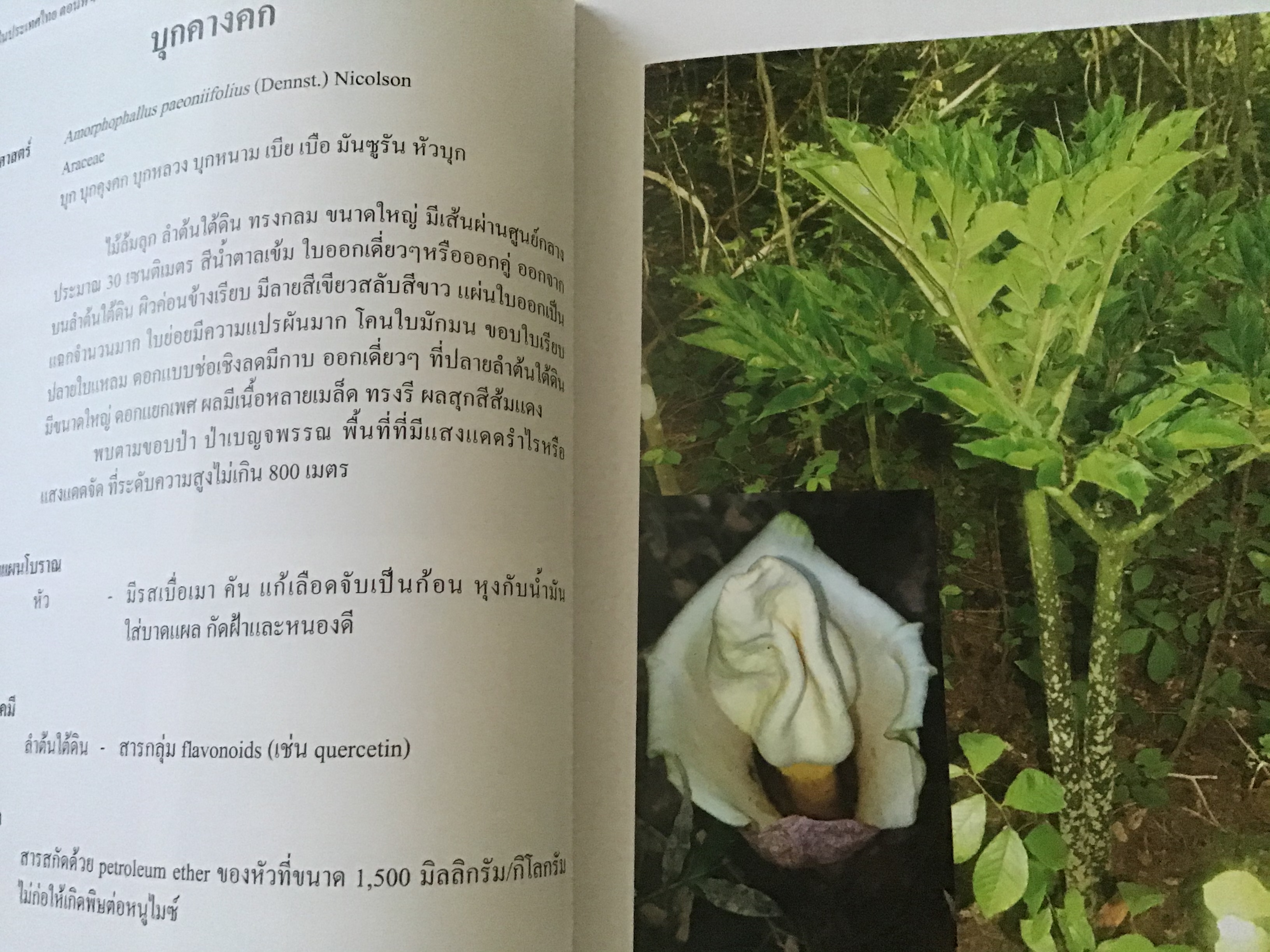 พืชสมุนไพรในประเทศไทย ตอน 4 สถาบันวิจัยสมุนไพร ปกแข็ง ราคา 300