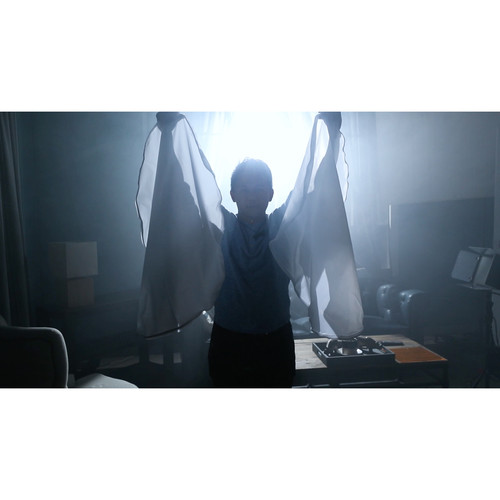 Aputure Light Storm LS C120D II LED Light Kit with (V-Mount,A Mount ) Battery Plate