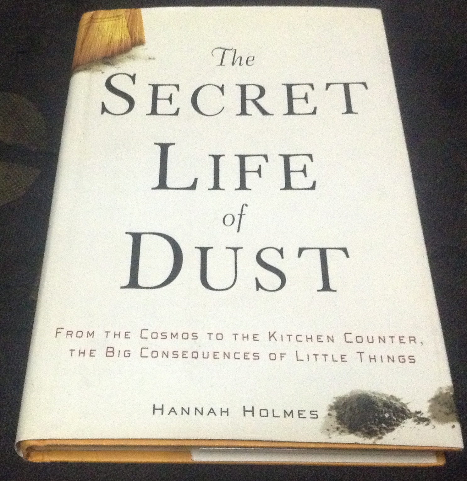 The Secret Life of Dust: From the Cosmos to the Kitchen Counter, the Big Consequences of Little Things by Hannah Holmes ราคา 430