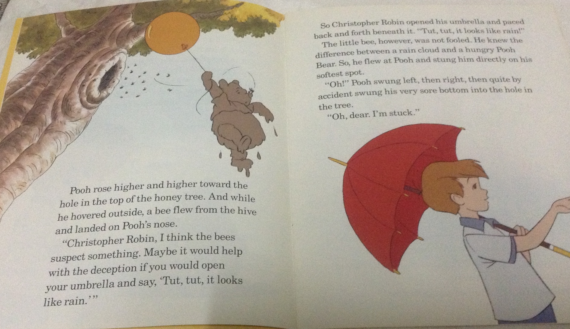 (4แถม4) Winnie the Pooh and the honey tree ราคา 95