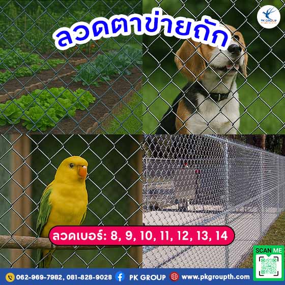 ลวดตาข่าย ลวดตาข่ายถัก ราคา