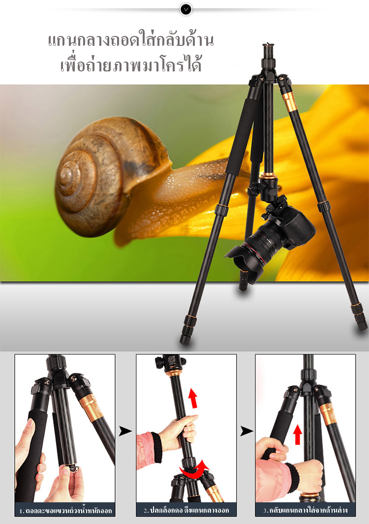 QZSD Tripod Monopod ขาตั้งกล้อง ทำเป็นขาเดี่ยวได้ รุ่น Q-999 ราคาถูก