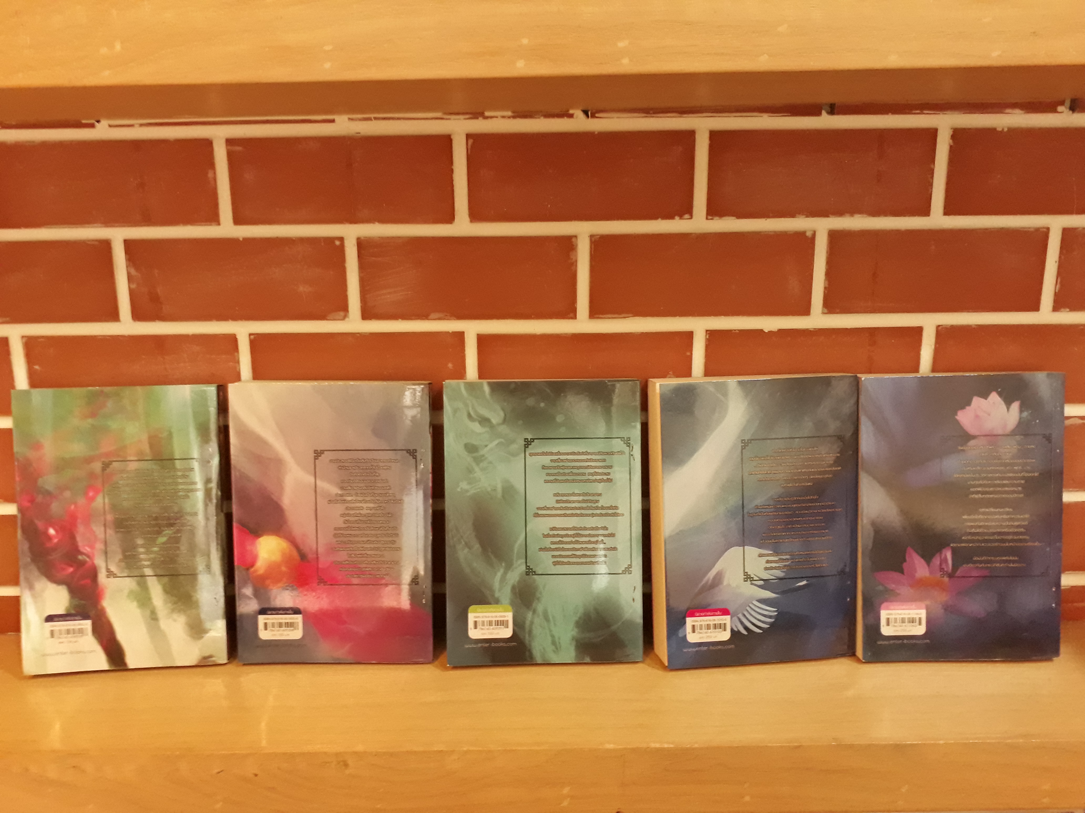 นิยายสภาพเช่า เรื่อง กระบี่เทพสังหาร เล่ม 1-11 : Xiao Ding : Enterbook