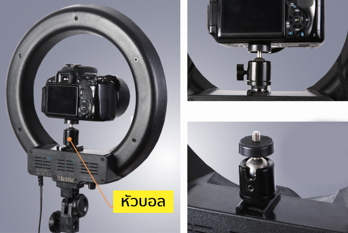 Mettle Ring Light รุ่น RL-18 กับ RL-12 ไฟต่อเนื่อง ถ่ายรูป ไฟแต่งหน้า