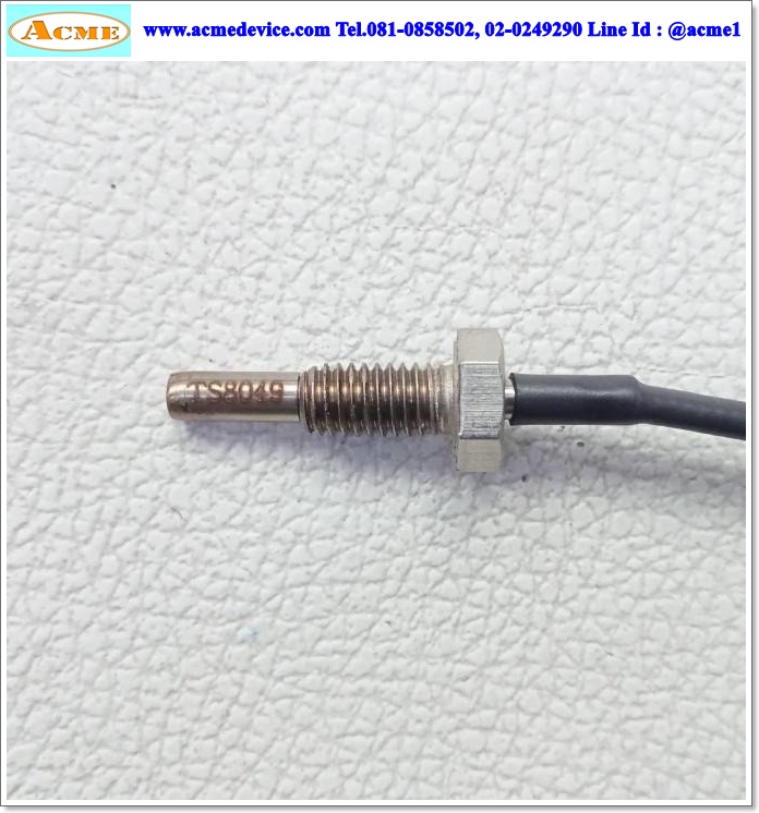 Thermocouple รุ่น TS8049, Type K