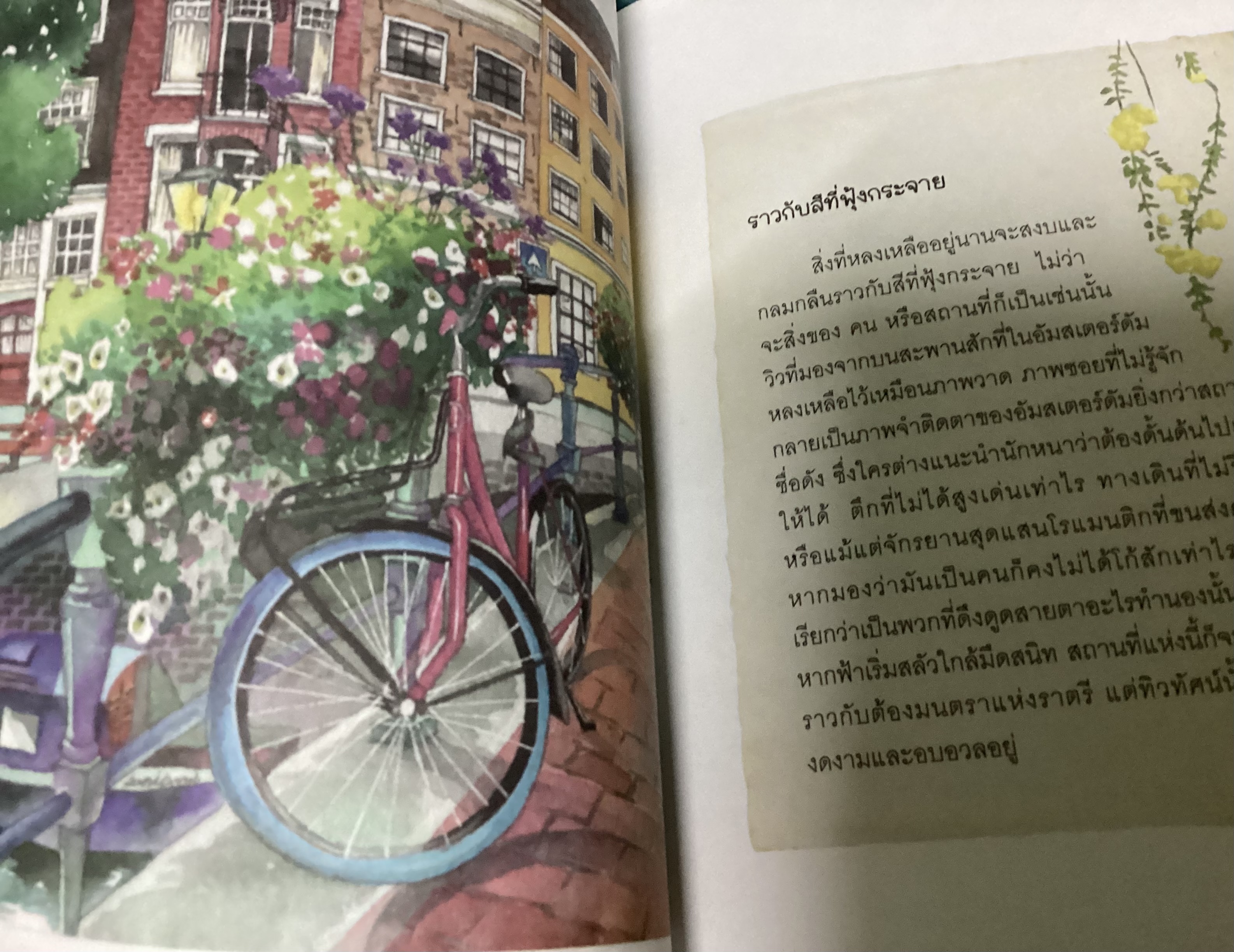 (สั่ง9จ่าย7) ฉันจะผลิบานในฤดูกาลของตัวเอง Rapport Mi ราคา 242