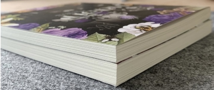 (สั่ง9จ่าย7) หลอก+หลอน เอโดะงาวะ รัมโป ราคา 368