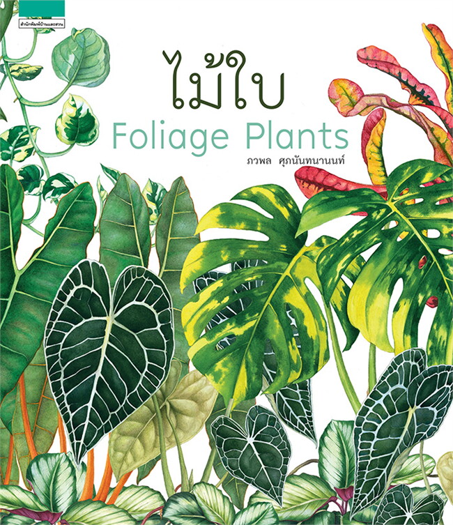 หนังสือเรื่อง ไม้ใบ Foliage Plants : ภวพล ศุภนันทนานนท์ : สำนักพิมพ์ บ้านและสวน