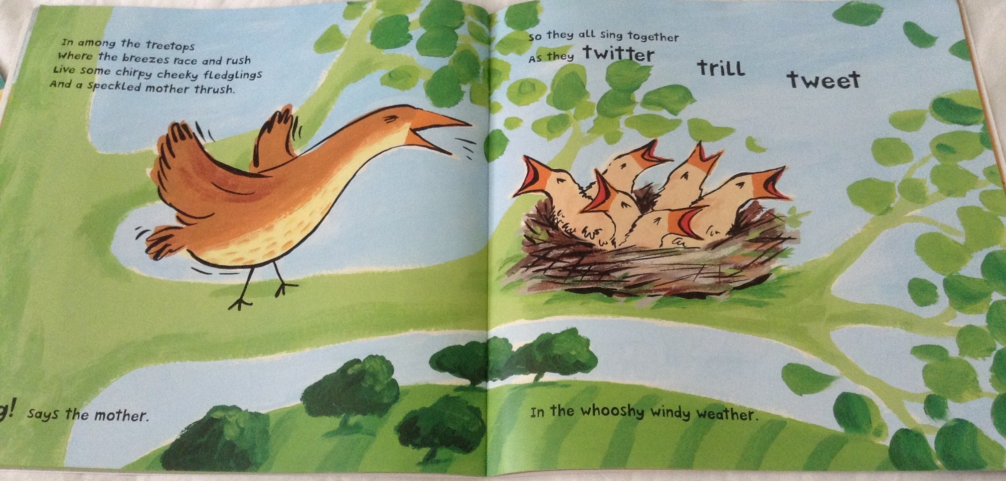 (4แถม4) Down in the Daisies: A Baby Animal Counting Book by Lucy Coats ราคา 95