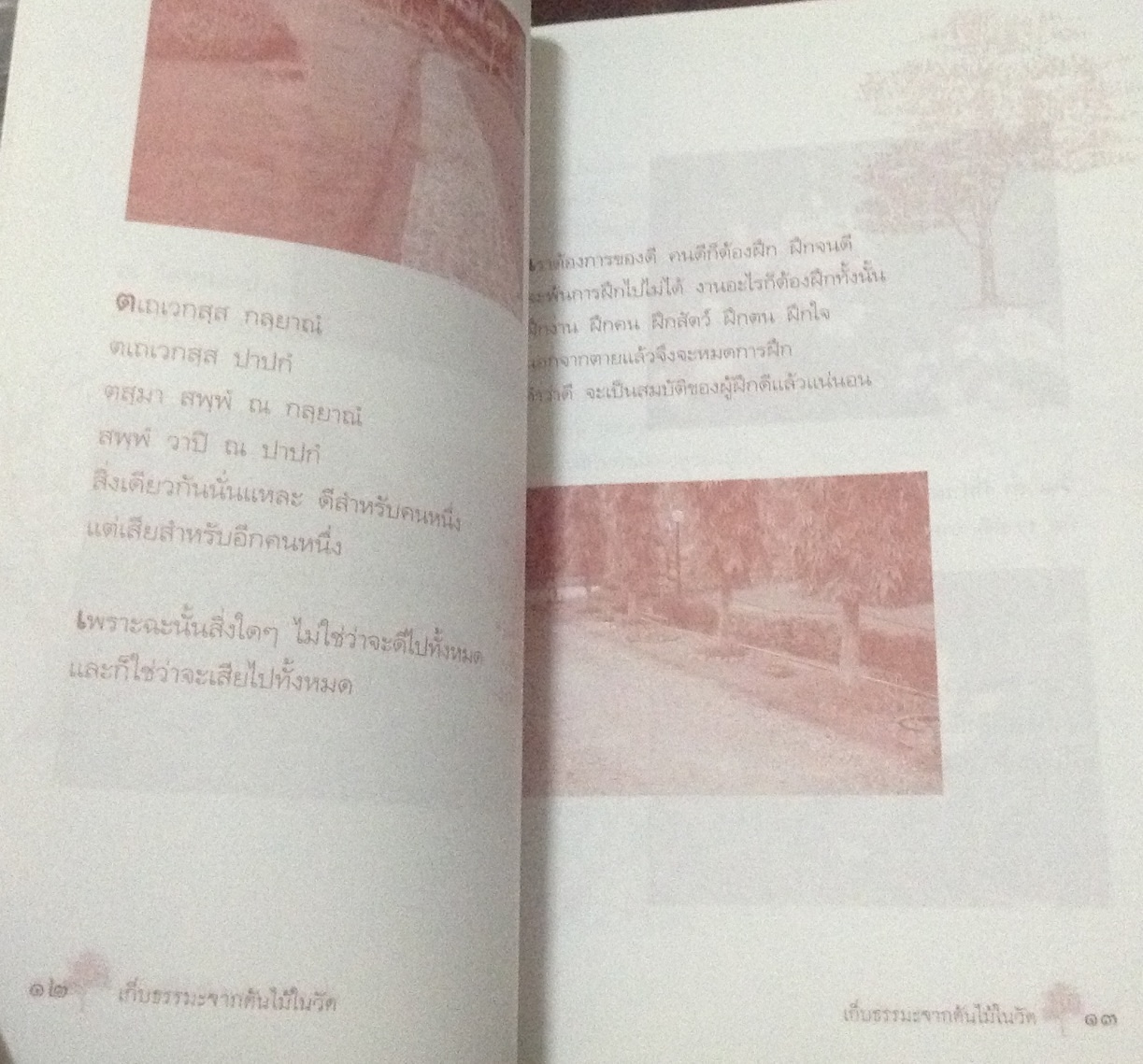 เก็บธรรมะจากต้นไม้ในวัด ปราณ นพวงศ์กุล ราคา 62