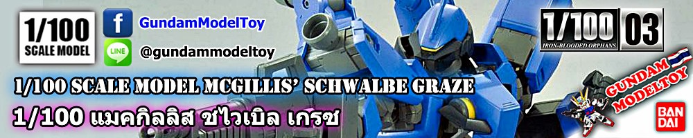 1/100 SCALE MODEL 03 McGILLIS' S SCHWALBE GRAZE แมคกิลลิส ชไวเบิล เกรซ