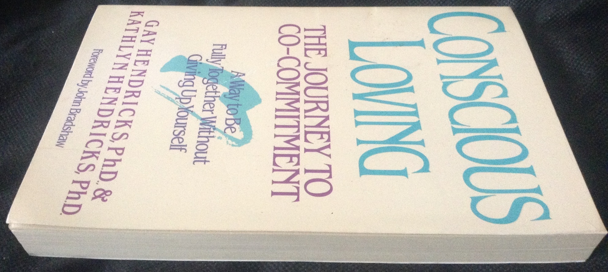 Conscious Loving: The Journey to Co-Committment by Gay Hendricks ราคา 100