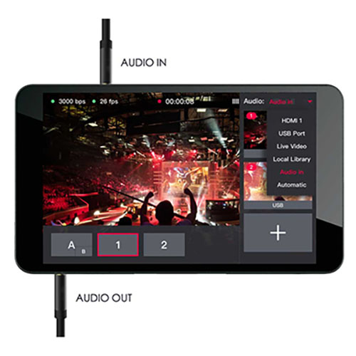 Yolo Box Live Stream