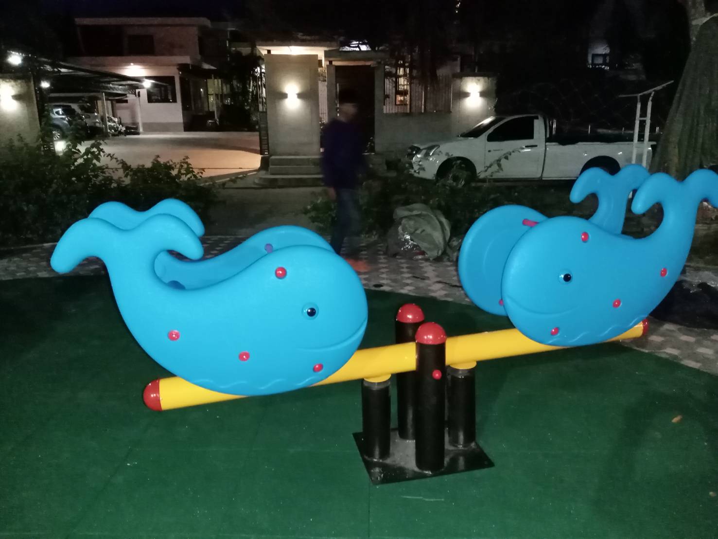 กระดานหกปลาโลมา